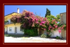 Agriturismo Galimi